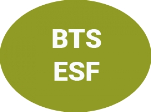 BTS ESF (Brevet de Technicien Supérieur en Économie Sociale Familiale)